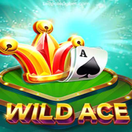 Exploring the Wild World of WildAce
